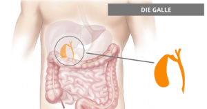 Gibt es Risiken und Nebenwirkungen? Der Kurkuma Ratgeber