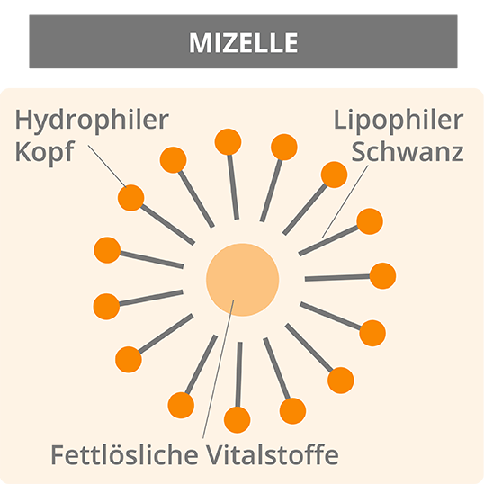 mizelle-kurkuma-ratgeber-infografik